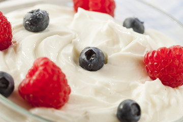 Fresh Organic Healthy Yogurt