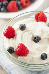 Fresh Organic Healthy Yogurt