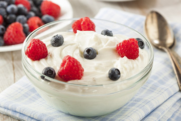 Fresh Organic Healthy Yogurt