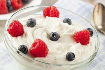 Fresh Organic Healthy Yogurt