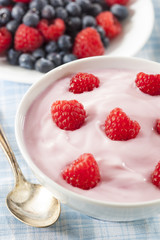 Fresh Organic Healthy Yogurt
