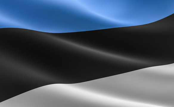 Estonian Flag