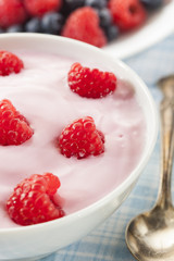 Fresh Organic Healthy Yogurt