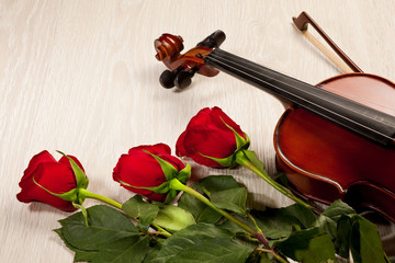 Fototapeta premium Red roses and a violin