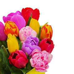Fototapeta premium Fragment of floral bouquet from colorful tulips isolated on whit