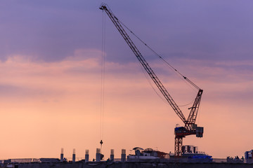 Fototapeta premium Cranes