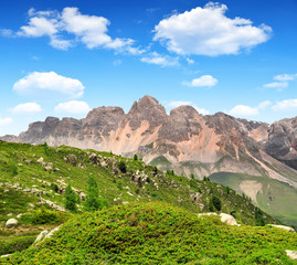 Fototapeta na wymiar Val di San Pellegrino - Italy Alps