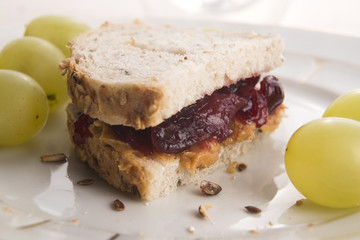 Peanut Butter and Jelly Sandwich