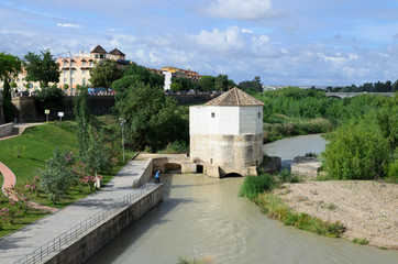 Fototapeta na wymiar Guadalquivir river in Cordoba