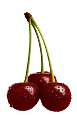 Sweet cherries