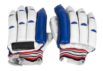 Close-up of cricket batting gloves