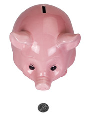 Close-up of a piggy bank with 50 paise coin
