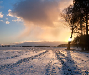 snowy winter landscape