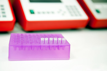 polymerase chain reaction