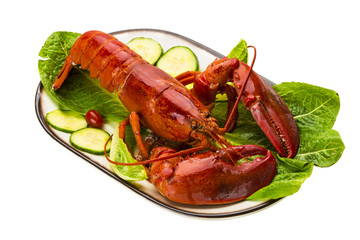 Large Lobster