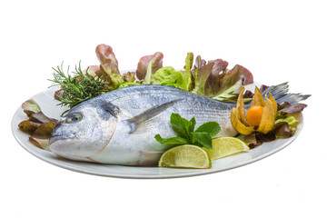 Fresh raw dorada