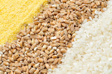 colorful cereal seeds background