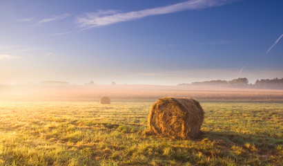 morning meadow landscape with hay bales