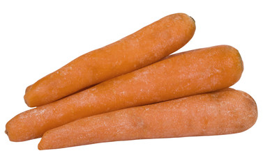 Close-up of carrots