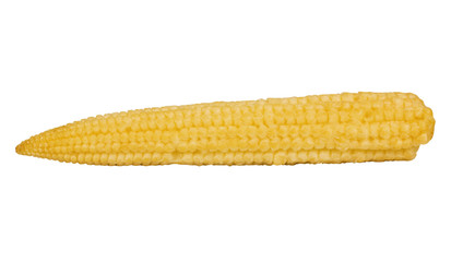 Close-up of a corn cob