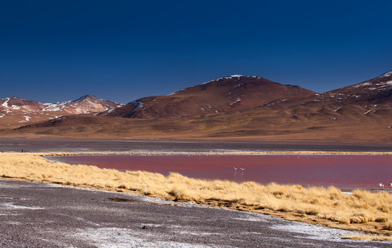 Bolivia - laguna Colorada