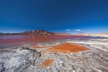 Bolivia - laguna Colorada