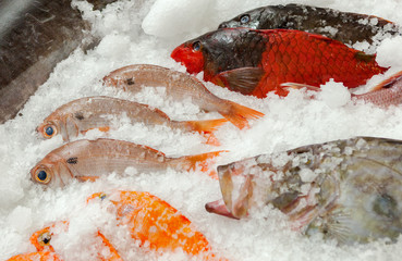 Fresh fishes seafood background on ice