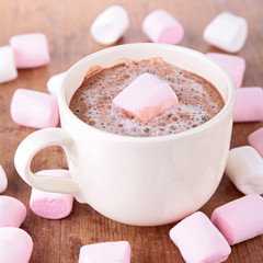 hot chocolate with marshmallows