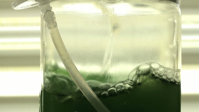 L&iacute;quido verde en laboratorio