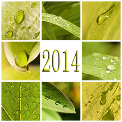 2014, collage gouttes d'eau