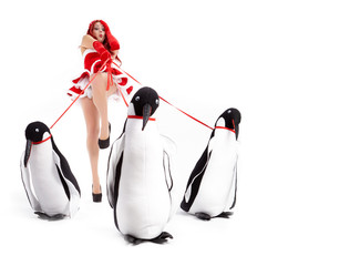 Pin-up fashion woman with penguin © ZoomTeam