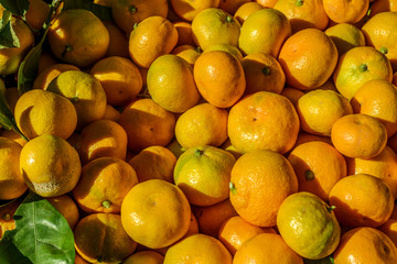Mandarin Oranges