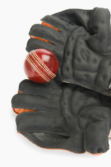 Close-up of a cricket ball on wicket keeping gloves