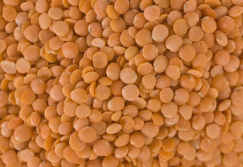 Close-up of red lentil