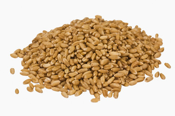 Fototapeta premium Close-up of wheat kernels
