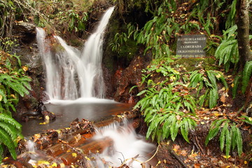 Fototapeta premium Fuente de la Salud. Ruta Fuentes Medicinales, Noceda del Bierzo.