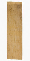 Close-up of a wooden stick