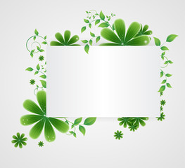 flowers on a paper background