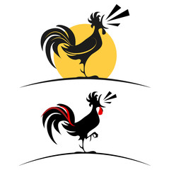 Rooster - 58353343
