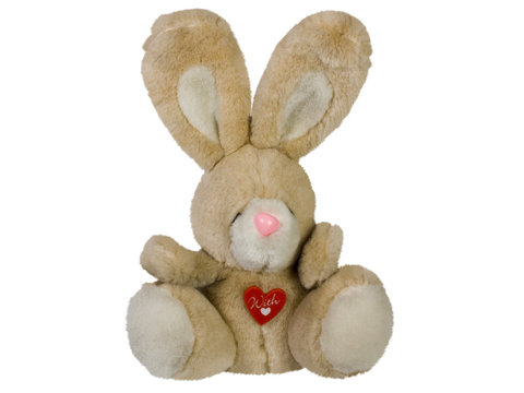 Close-up Of A Stuffed Bunny Toy