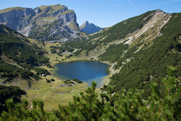 Fototapeta na wymiar a little lake in mountains