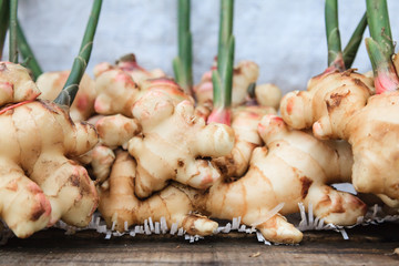 Fresh gingers on the wood table