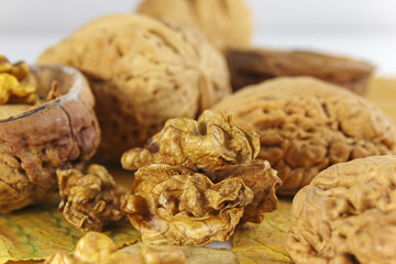 walnuss mit blatt