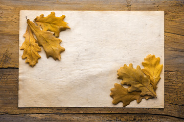 leaves and paper on wooden background