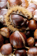 chestnuts
