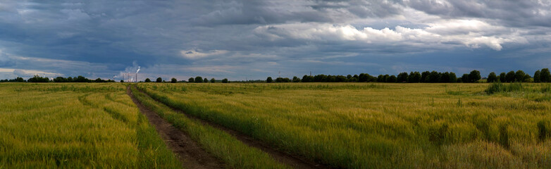 Obraz premium panorama of rural field