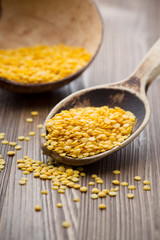 Lentil.