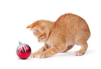 Cute Orange Kitten Playing with a Christmas Ornament on White