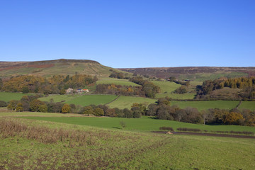 farndale in autumn
