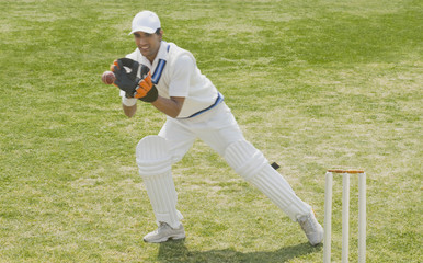 Cricket wicketkeeper catching a ball behind stumps - Powered by Adobe